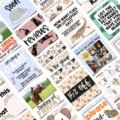 Pets Business Engagement & Social Media Content Graphics Collection